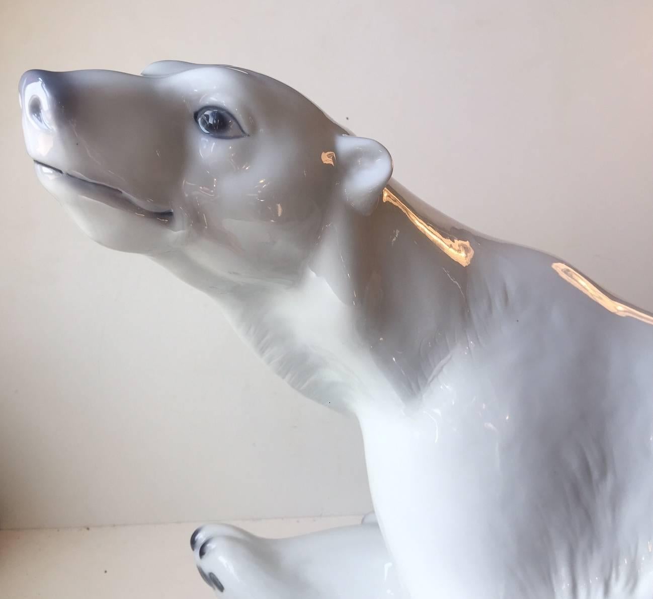 This porcelain polar bear by Danish B&G is the largest Version made by the company. It is model number 1954 and it was designed by Niels Nielsen. These giant Bears, almost the size of a medium dog, were only made in a very limited number. This Bear