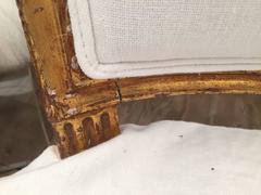 Pair of French Gilt Chairs