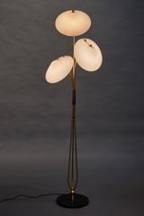 Unique and Beautiful French Floor Lamp