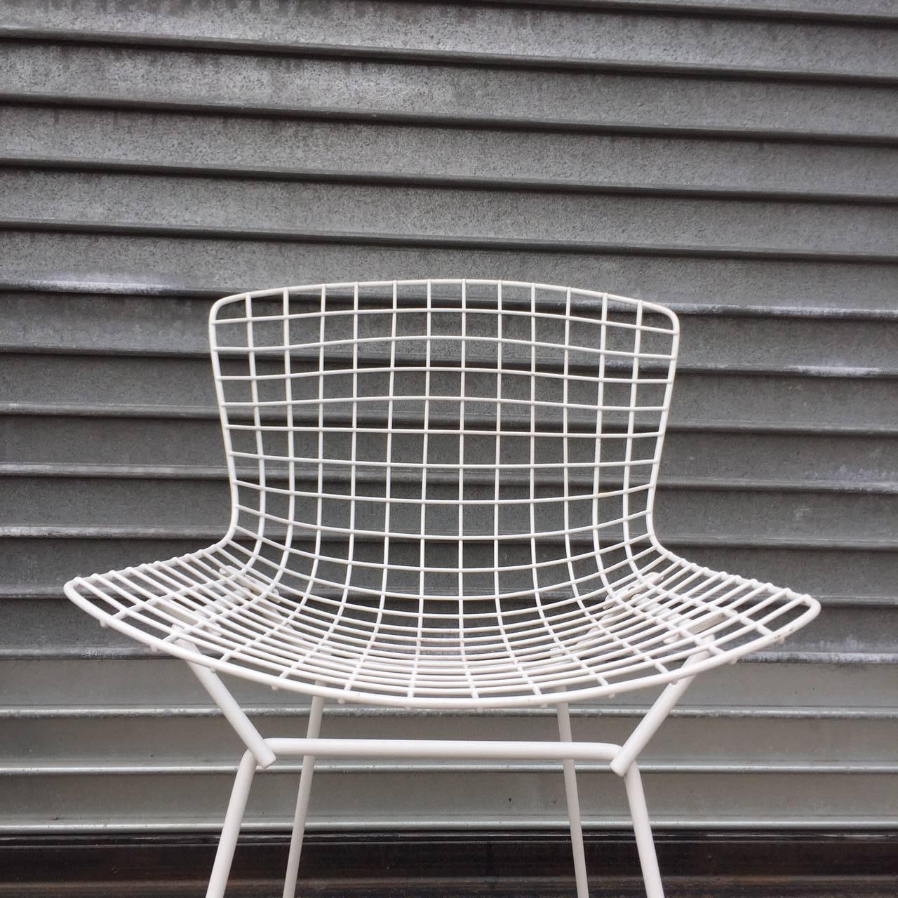 American Harry Bertoia for Knoll Wire Side Chairs in White
