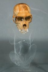 Contemporary Sculpture "Hommage to Darwin"