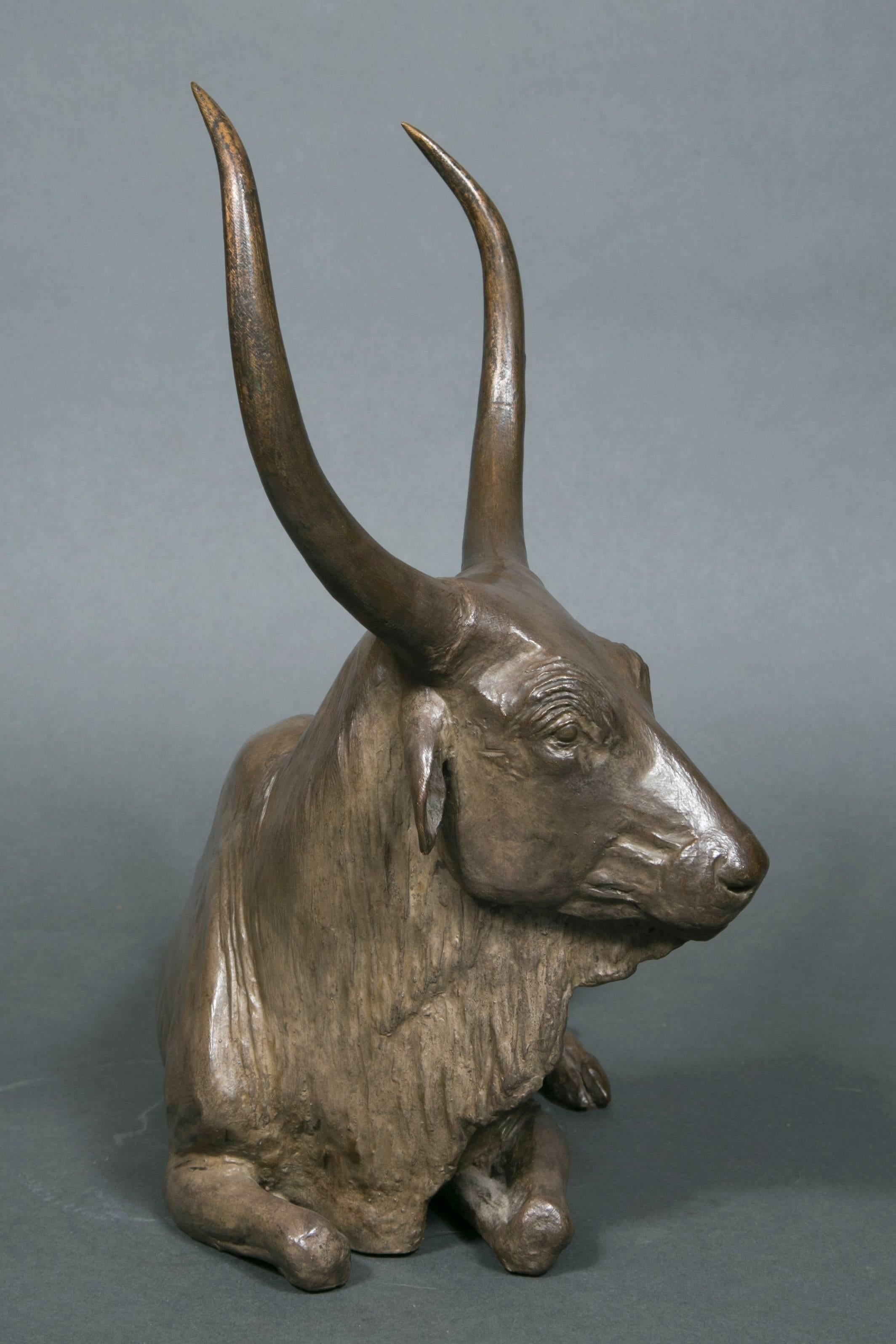 Lying zebu in light gray-green patinated bronze. Created by Yves Gaumétou. Signed Y.Gaumétou, monogrammed Y.G. and numbered 1/8.
Height: 36 cm x Length: 40 cm x Depth: 19 cm.