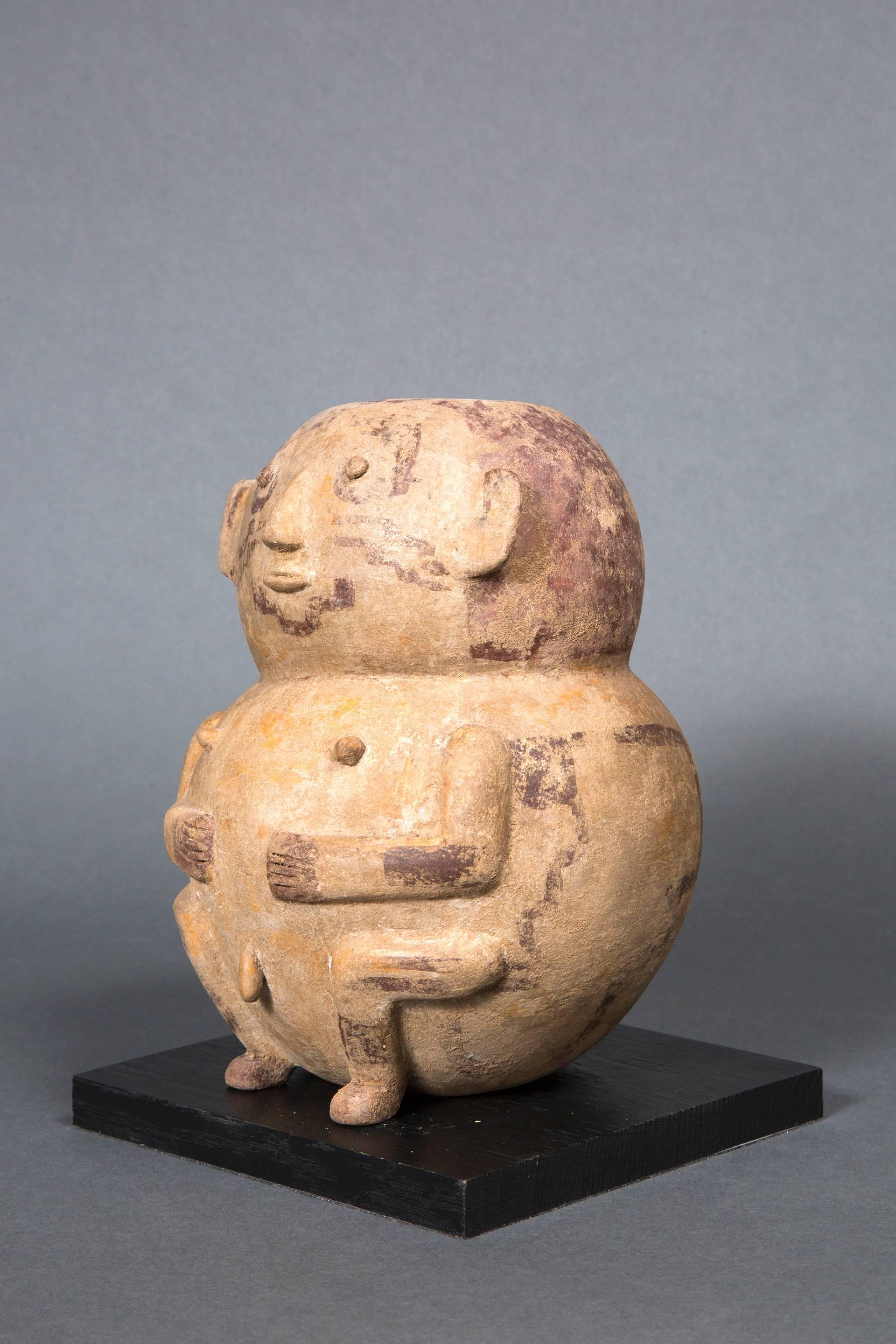 Rare Funeral Urn, Rio Napo Region, Ecuador 200 BC J.C.-500 AD J.C For Sale 2