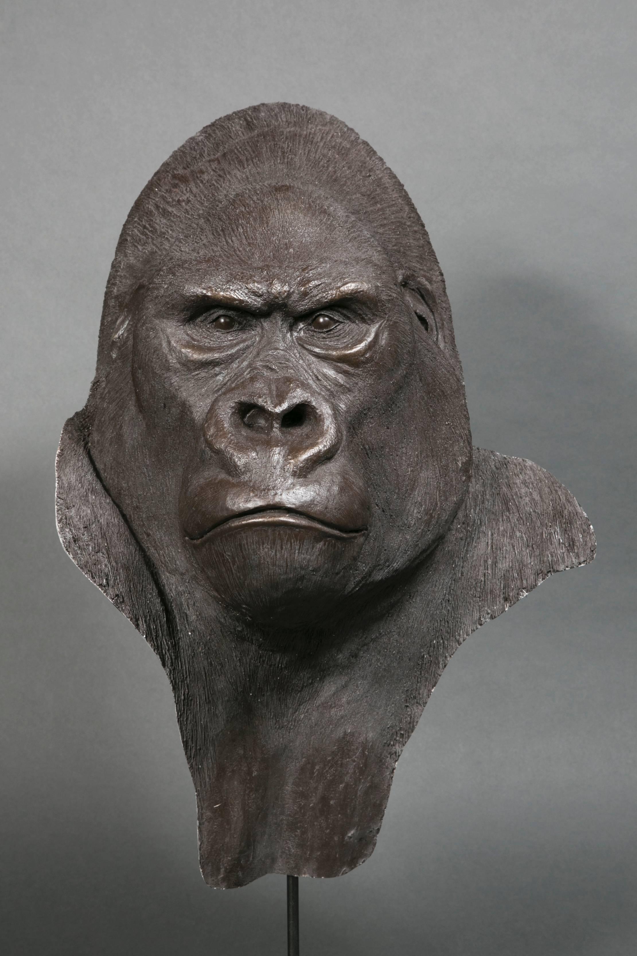 Resin gorilla head, made by Yves Gaumétou, France, 2015.
Numbered II / IV, monogrammed YG rear.
Dimension without Stand:
Height 57.5 cm; width 40 cm; depth 23 cm.
Dimension with Stand 70 cm height.