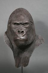 Resin Gorilla Head, Yves Gaumétou, France, 2015