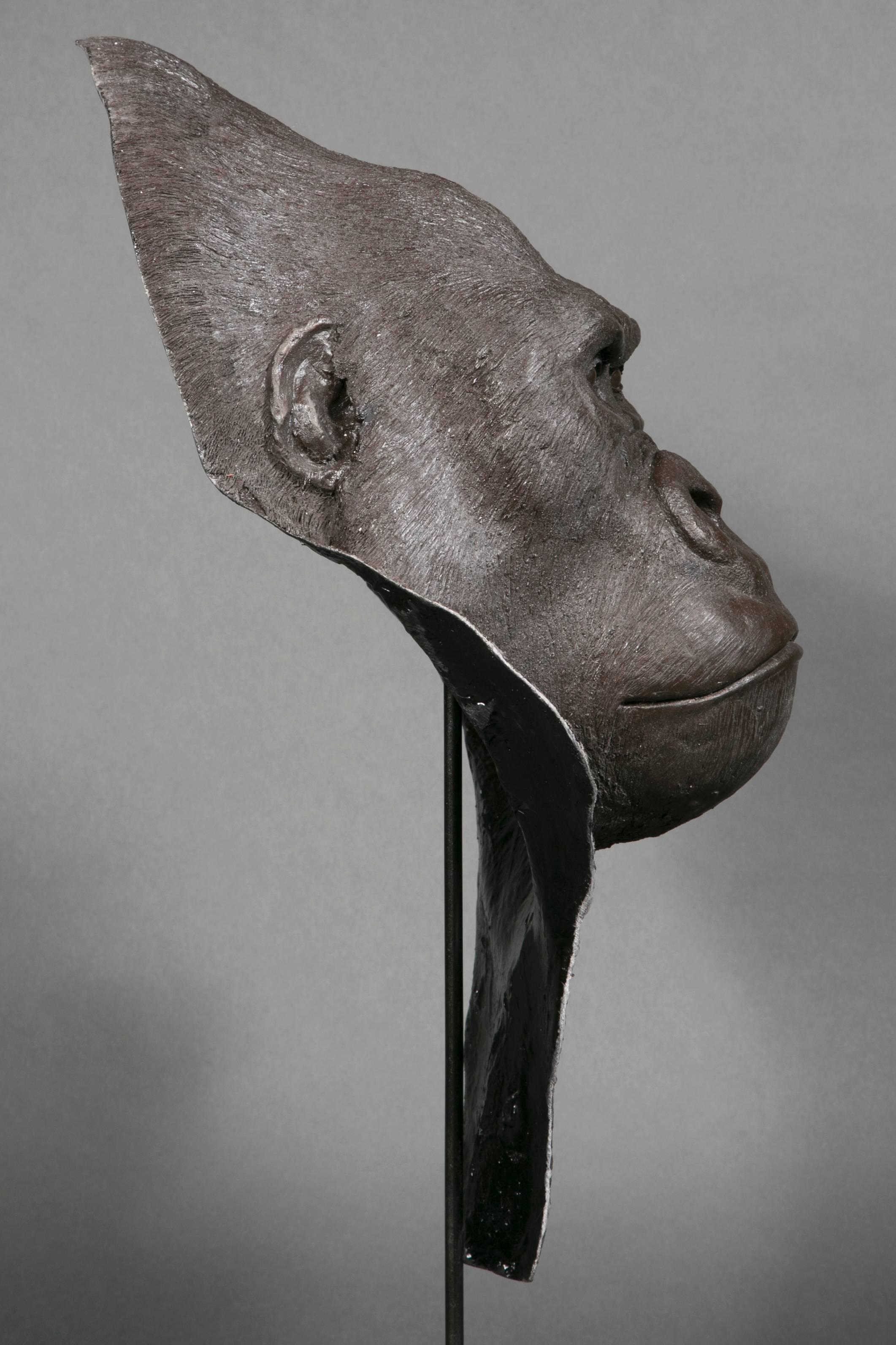 Contemporary Resin Gorilla Head, Yves Gaumétou, France, 2015 For Sale