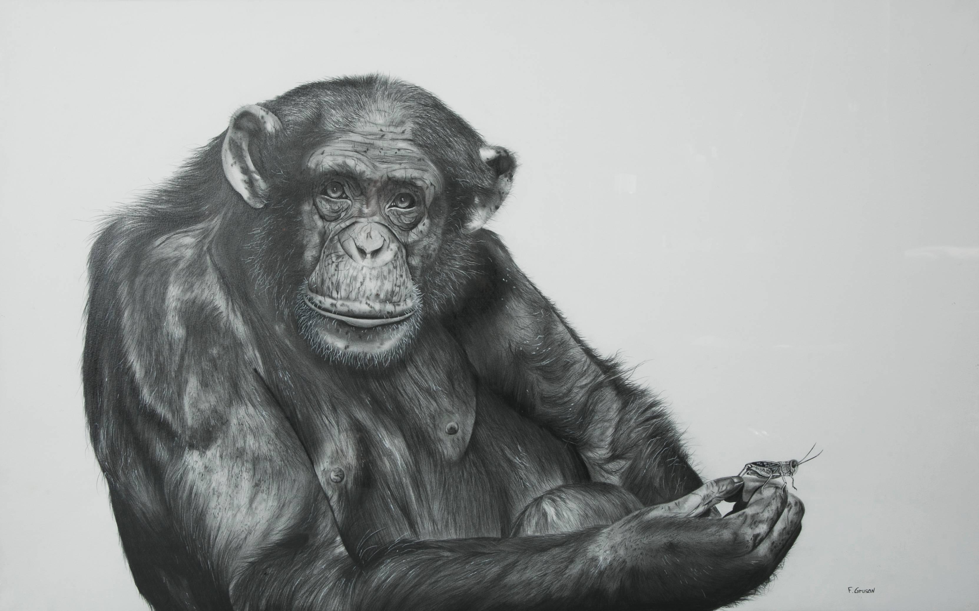 Graphite on paper drawing by François Gruson.
Meticulous and hyperrealist work.
Dimension: Length 100 cm x height 63 cm.
Dimension with metal frame: 110 cm x 73 cm.
 