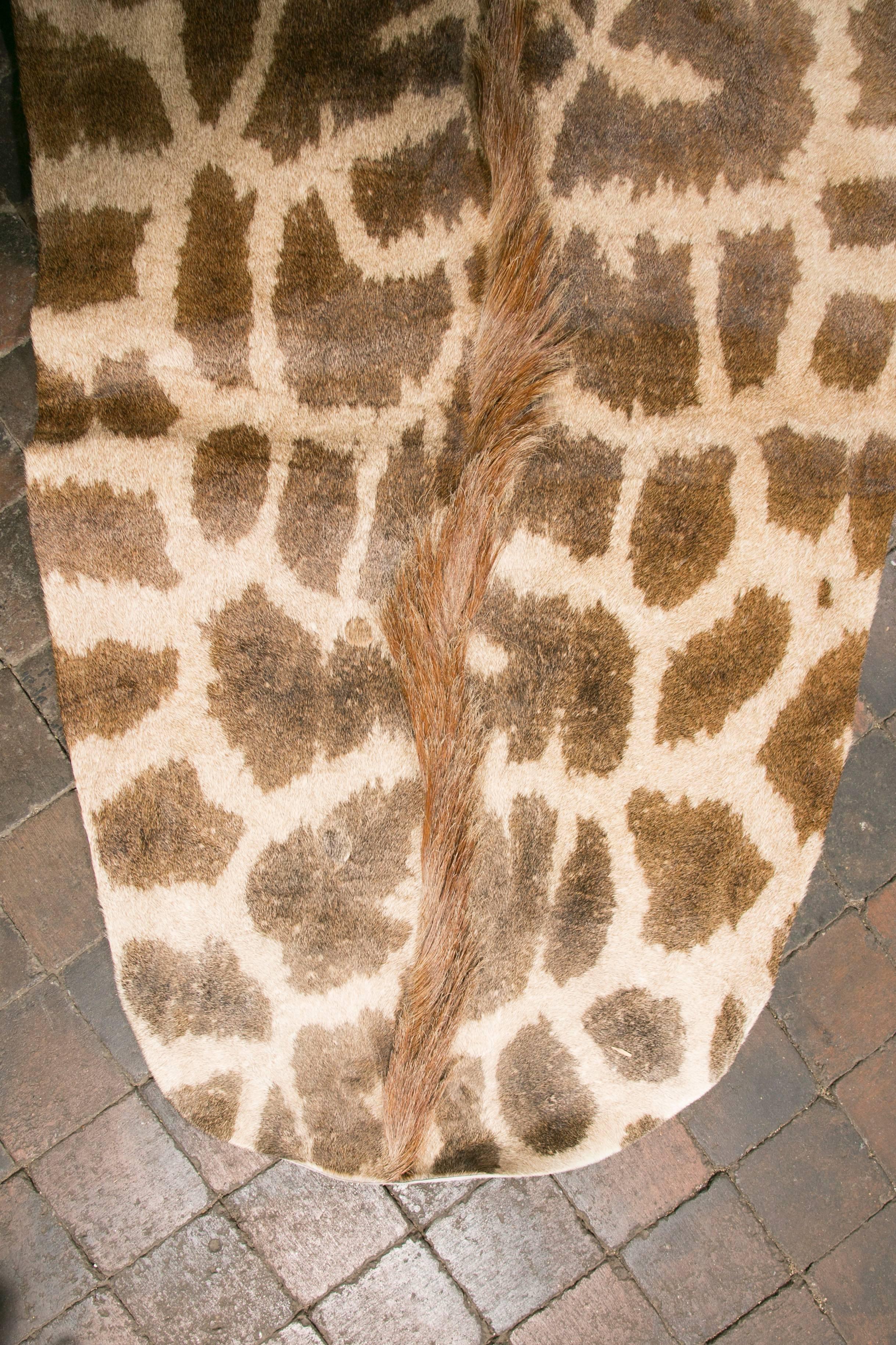 giraffe rug real