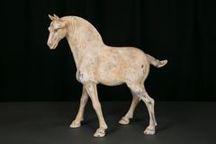 Terracotta Horse, Dynastie Tang, 'AD 618- AD 907'