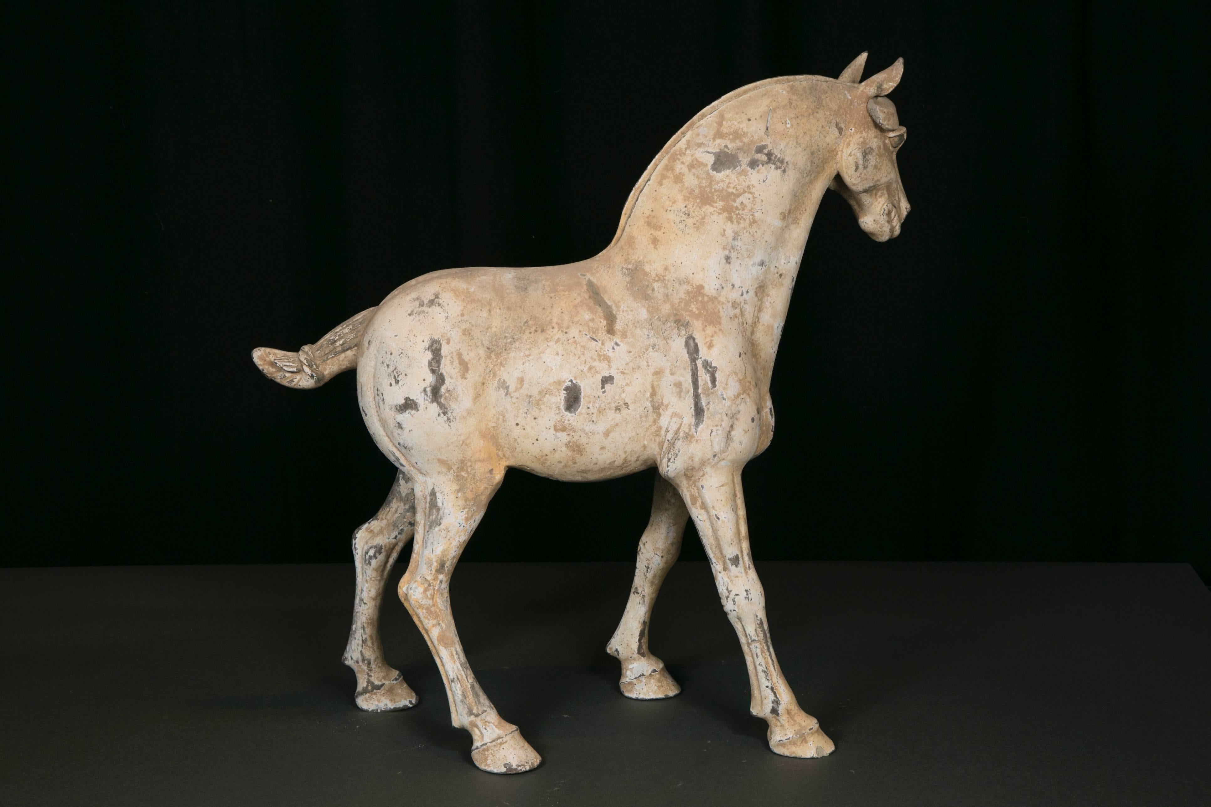 Chinese Terracotta Horse, Dynastie Tang, 'AD 618- AD 907' For Sale