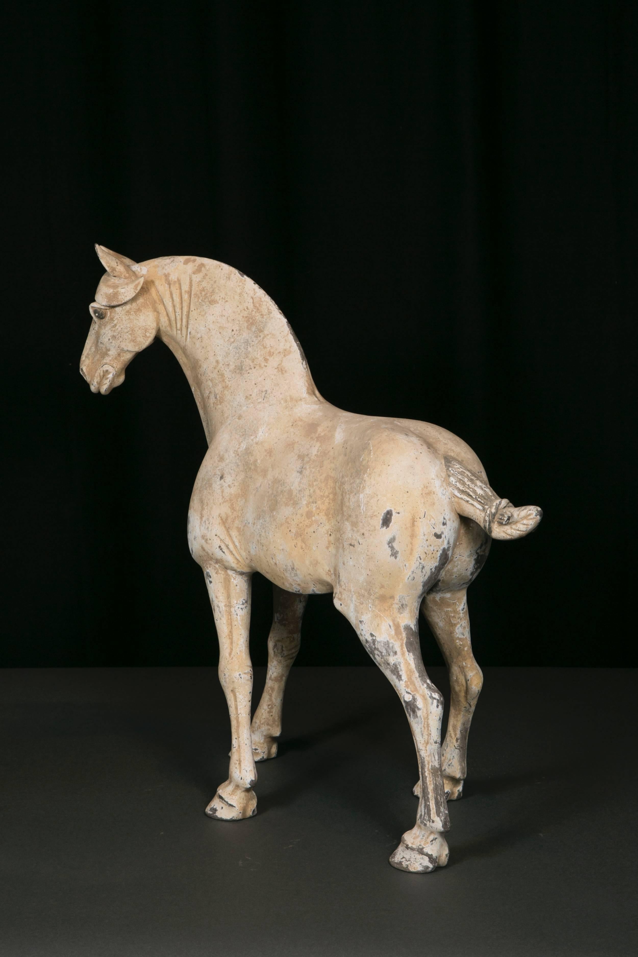 Terracotta Horse, Dynastie Tang, 'AD 618- AD 907' In Good Condition For Sale In Saint-Ouen, FR