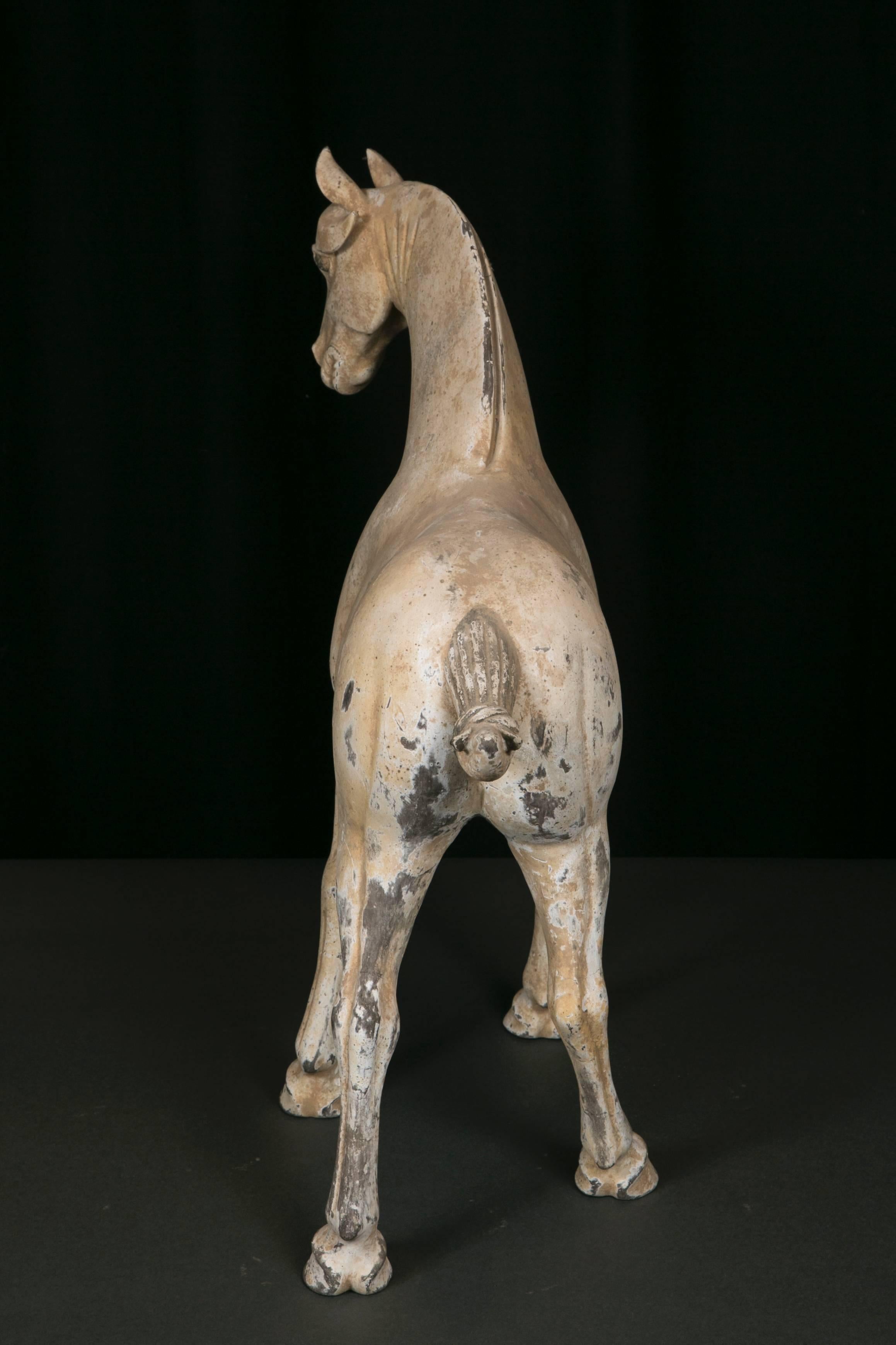 18th Century and Earlier Terracotta Horse, Dynastie Tang, 'AD 618- AD 907' For Sale