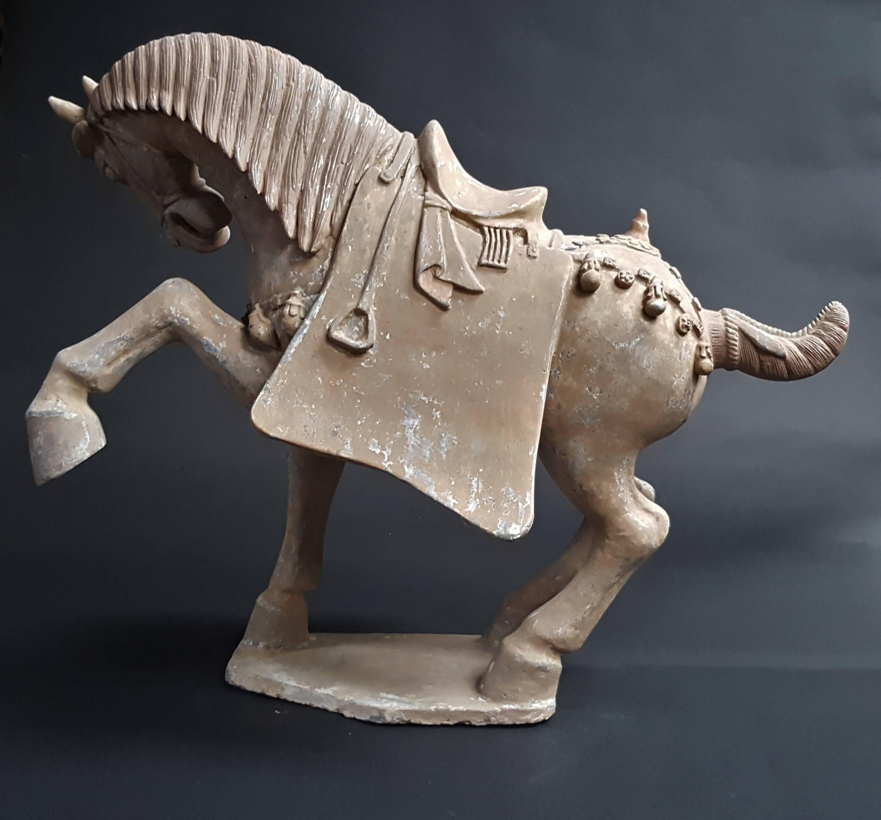 Chinese Handsome Prancing Horse, Tang Dynasty 'AD 618-AD 907' For Sale