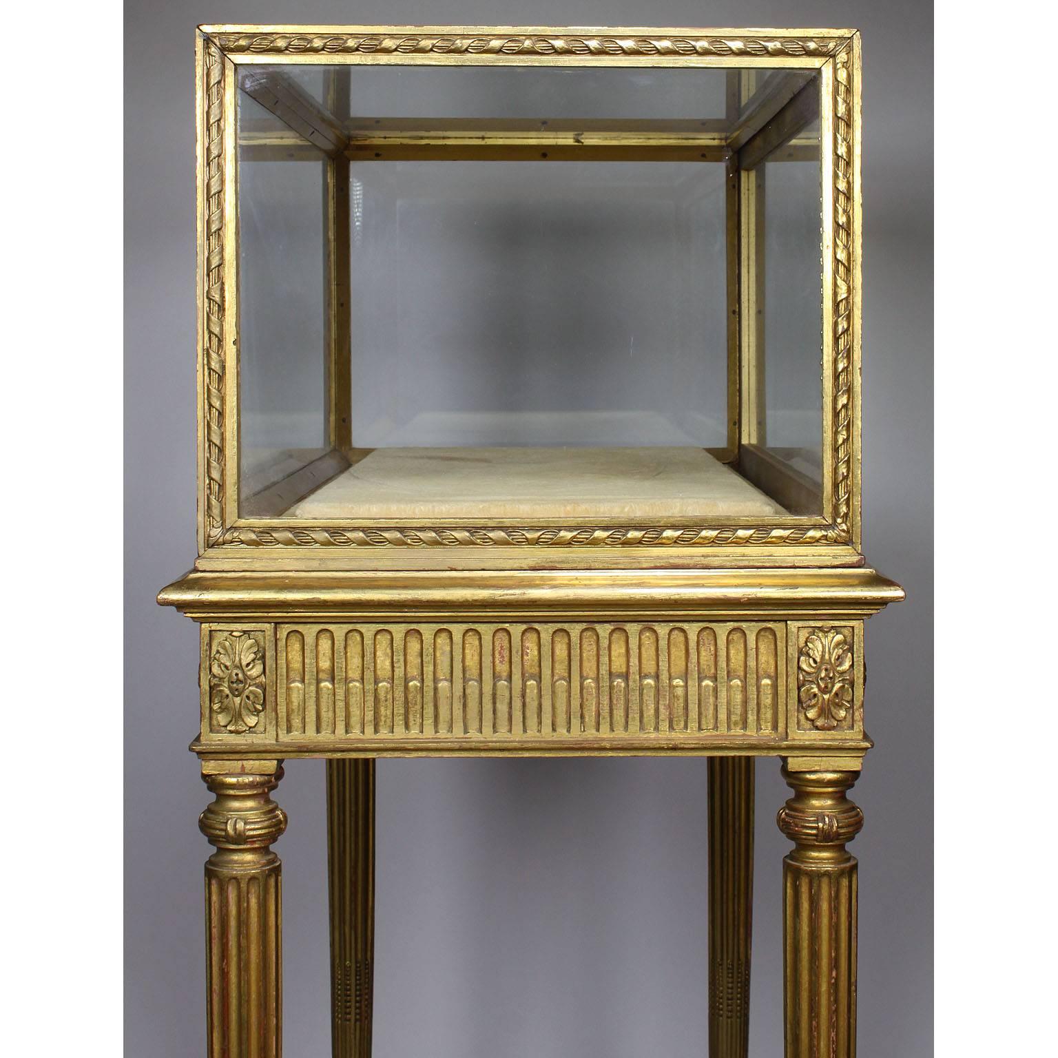 Velvet French 19th Century Louis XVI Style Giltwood Carved Exhibition Vitrine Table