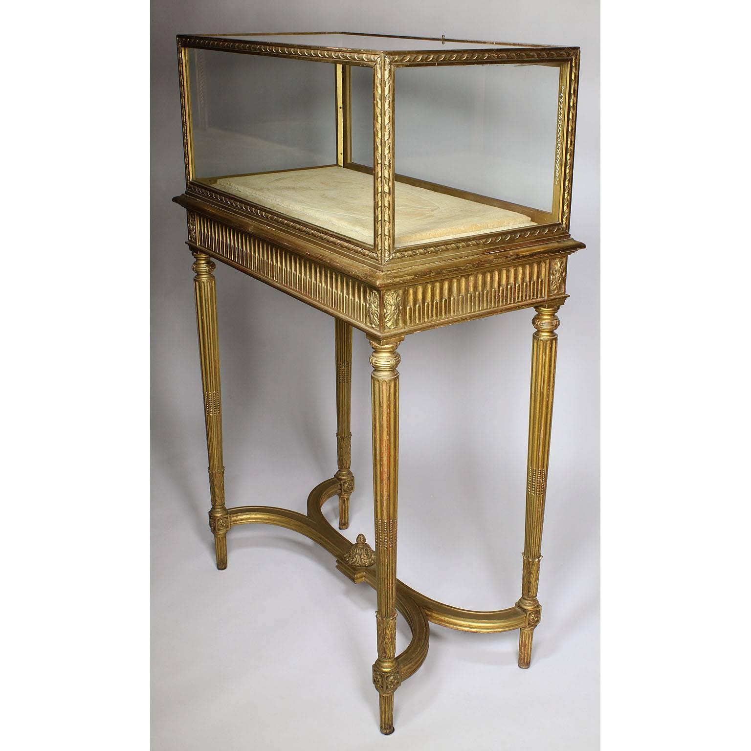 A fine French 19th century Louis XVI style giltwood carved exhibition curio display cabinet (Vitrine Table). The rectangular intricate carved giltwood case glass sides and top and velvet interior, the rear with a drop-access panel, atop a giltwood