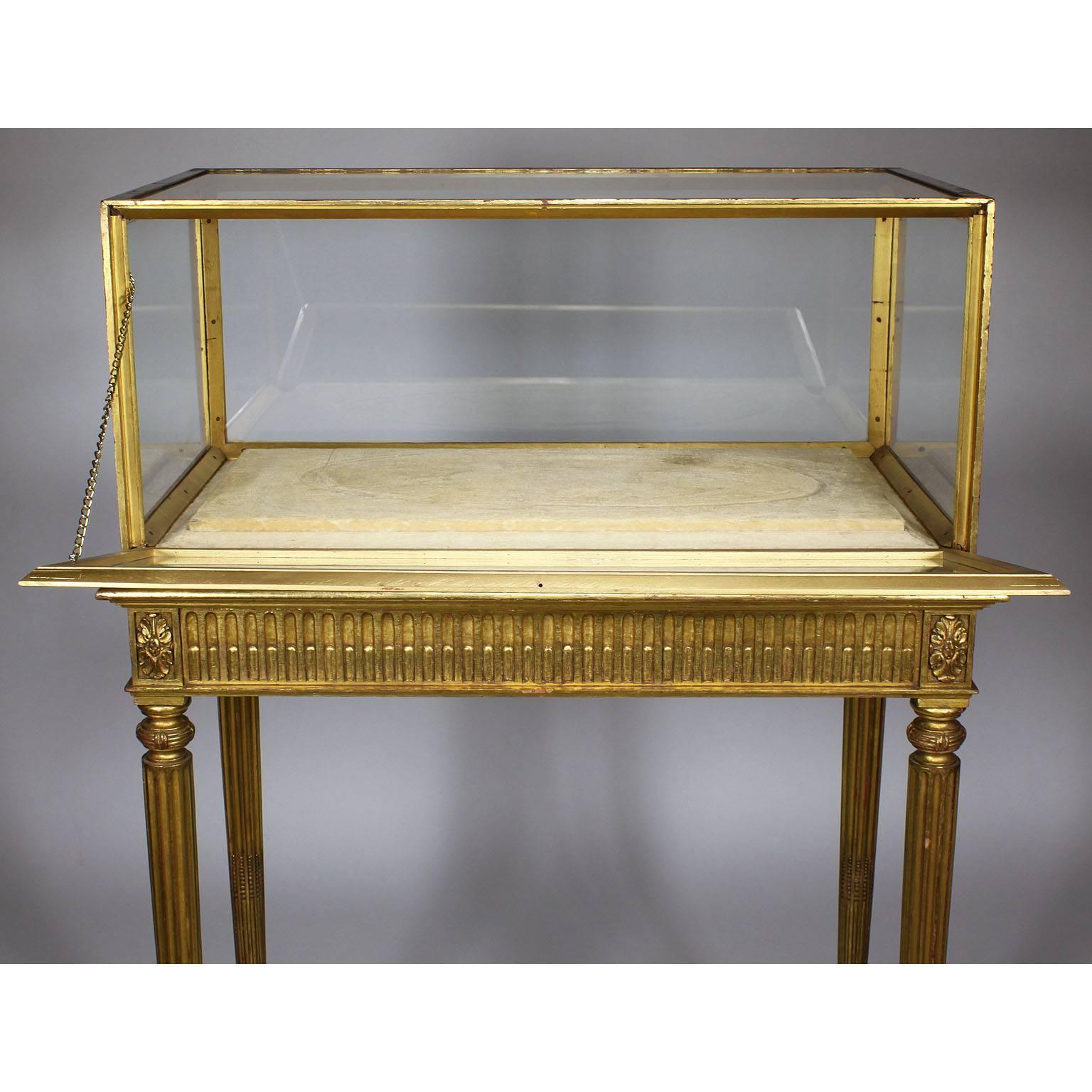 French 19th Century Louis XVI Style Giltwood Carved Exhibition Vitrine Table 3