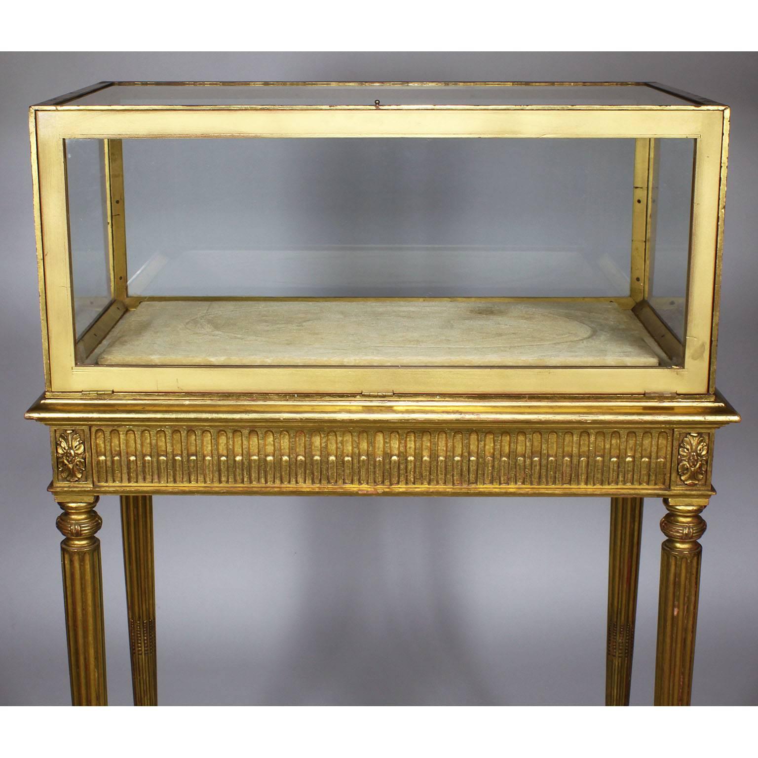 French 19th Century Louis XVI Style Giltwood Carved Exhibition Vitrine Table 4