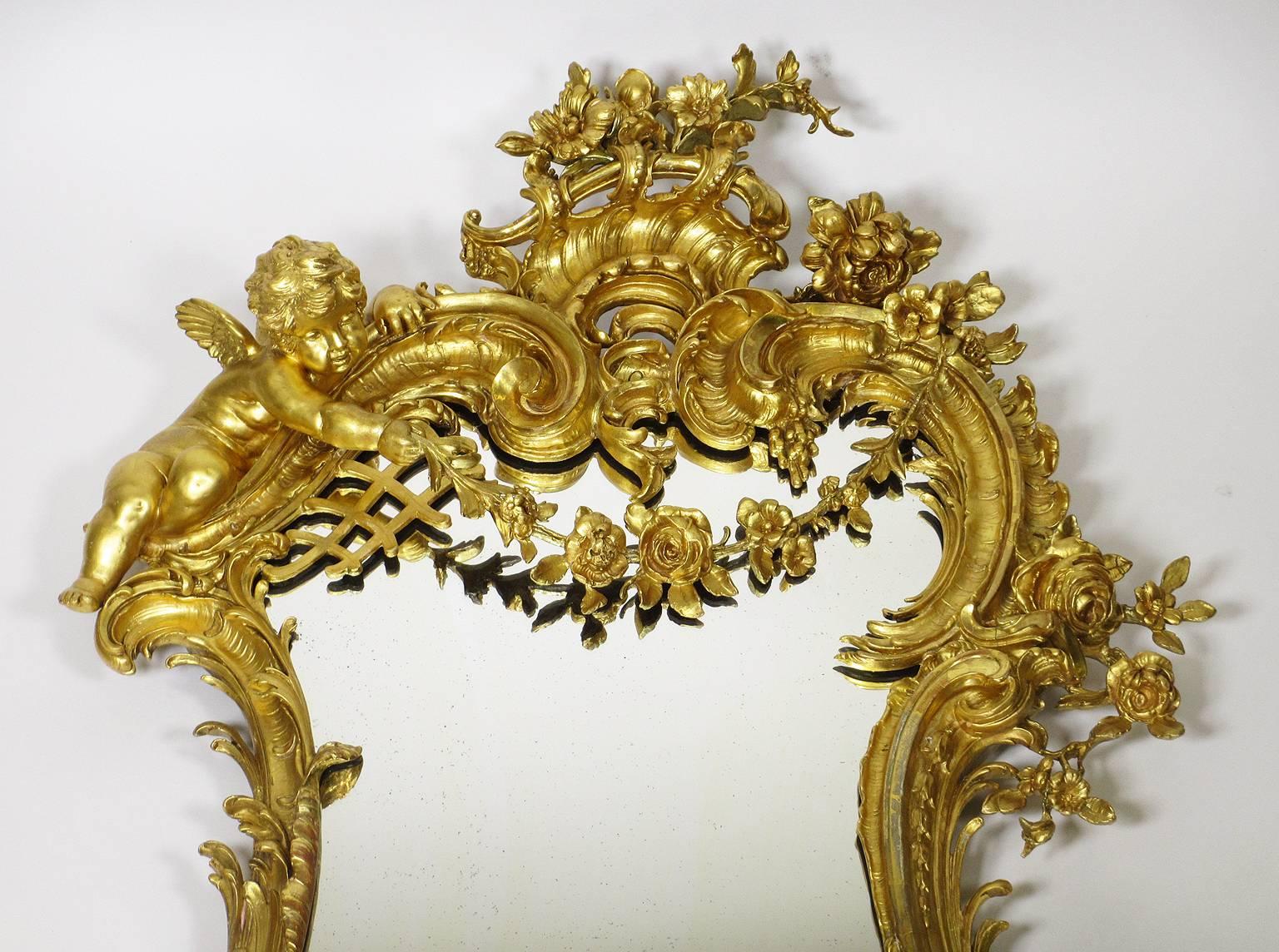 A very fine and large French 19th-20th century Louis XV style Belle Epoque giltwood and gesso carved figural mirror frame, surmounted with a hovering cherub, a cherub mask, scrolls, leaves, acanthus and floral wreaths. All gilding original, circa
