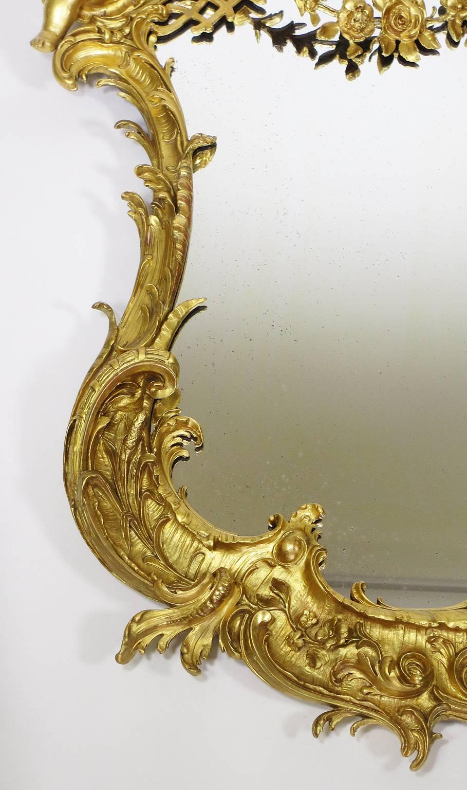 Belle Époque Belle Epoque 19th-20th Century Louis XV Style Giltwood Carved Cherub Mirror
