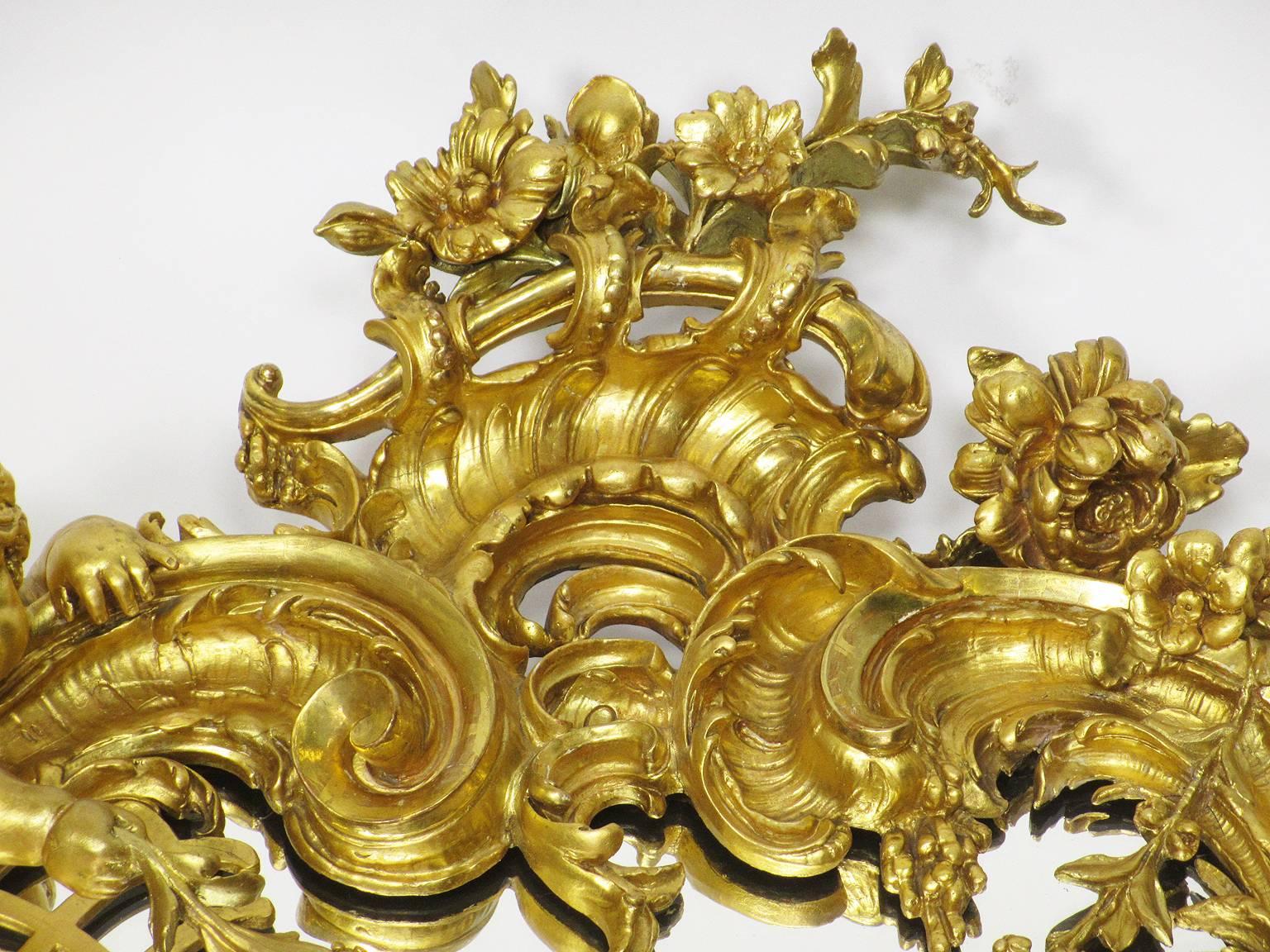 Early 20th Century Belle Epoque 19th-20th Century Louis XV Style Giltwood Carved Cherub Mirror