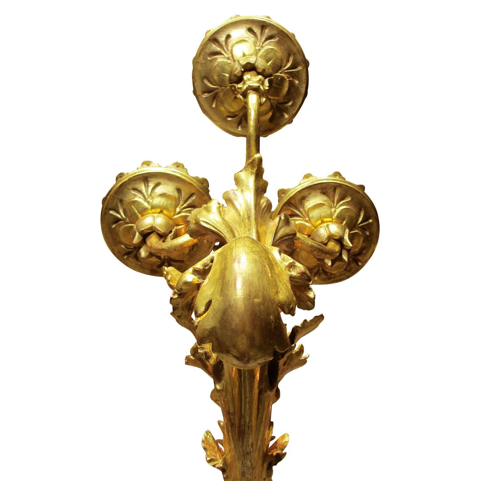 Palastartiger italienischer geschnitzter Florentiner Rokoko-Kronleuchter aus vergoldetem Holz aus dem 19. Jahrhundert (Metall) im Angebot