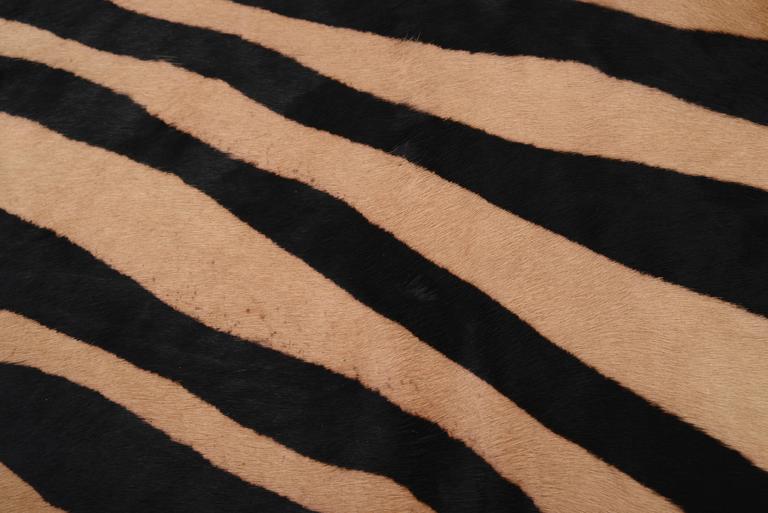 Large Zebra Stencil Printed Genuine Large European Cowhide Rug Ink on