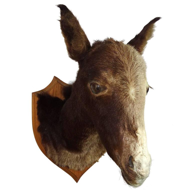 mule mix base mule mix base