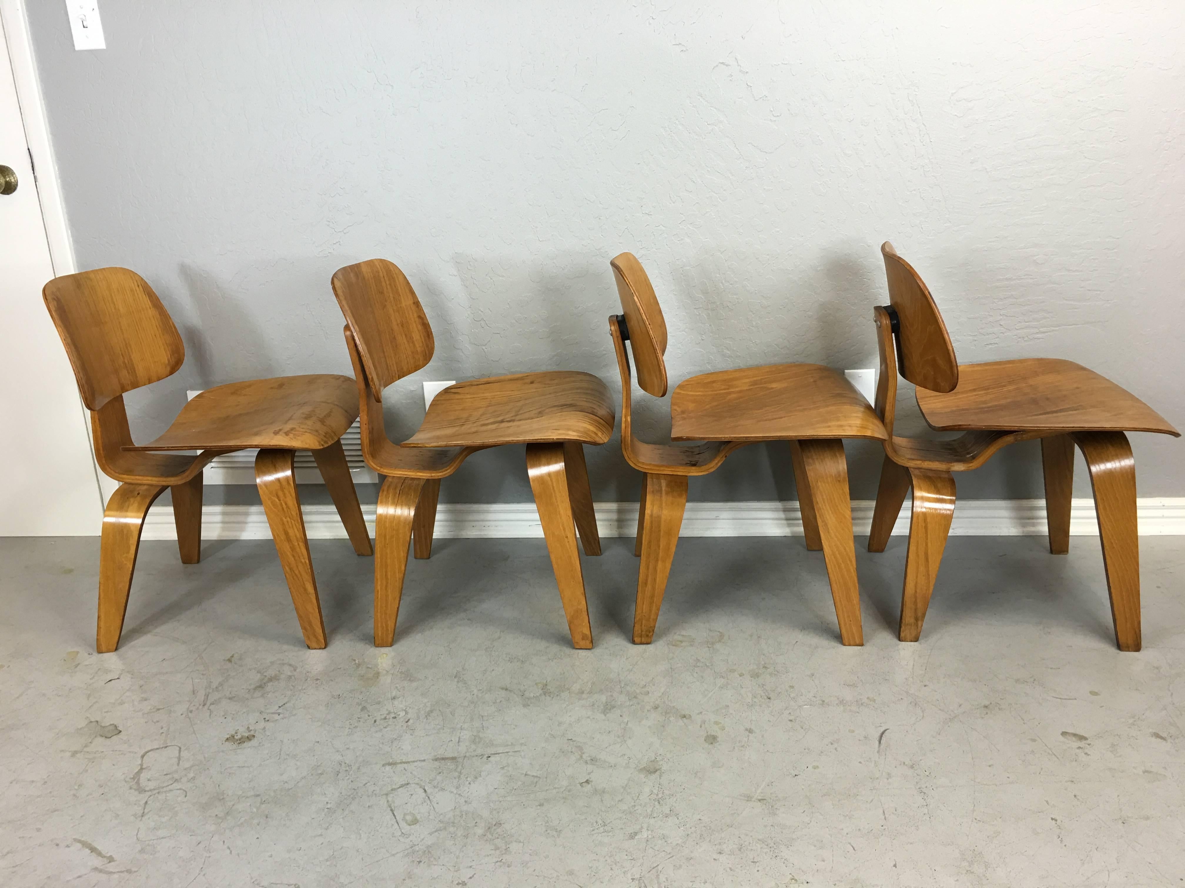 Four Charles Eames DCW chairs made by the Evans Products Company for Herman Miller. c.1946. Condition is very good to excellent. Not missing any veneer. Original patina. Untouched except light oil to preserve the wood. They are solid. No wobbly.