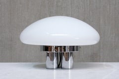 Sergio Mazza & Giuliana Gramigna 'Magnolia' Table Lamp for Quattrifolio, 1973