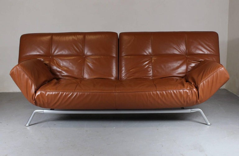 Pascal Mourgue Smala Sofa Bed for Ligne Roset at 1stDibs | ligne roset smala  sofa bed, ligne roset smala replacement cover