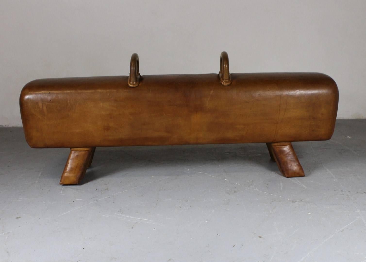 leather pommel horse bench