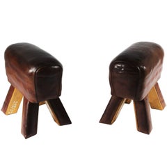 Pair of Leather Gym Stools