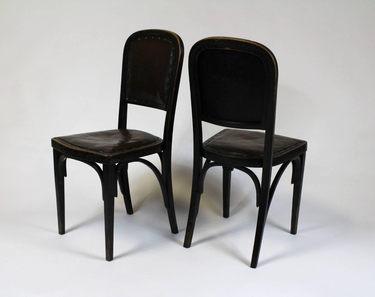 Four rare side chairs designed by Gustav Siegel, circa 1905, manufactured in 1914 by J. & J. Kohn in Vsetín, Czechoslovakia (labeled). Bent beechwood, original chocolate leather upholstery. Excellent original condition with perfect patina.