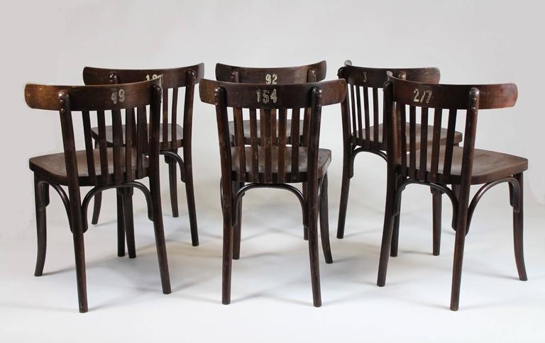 Set Of Six Bentwood Bistro Chairs 1950s Ton Thonet At 1stdibs