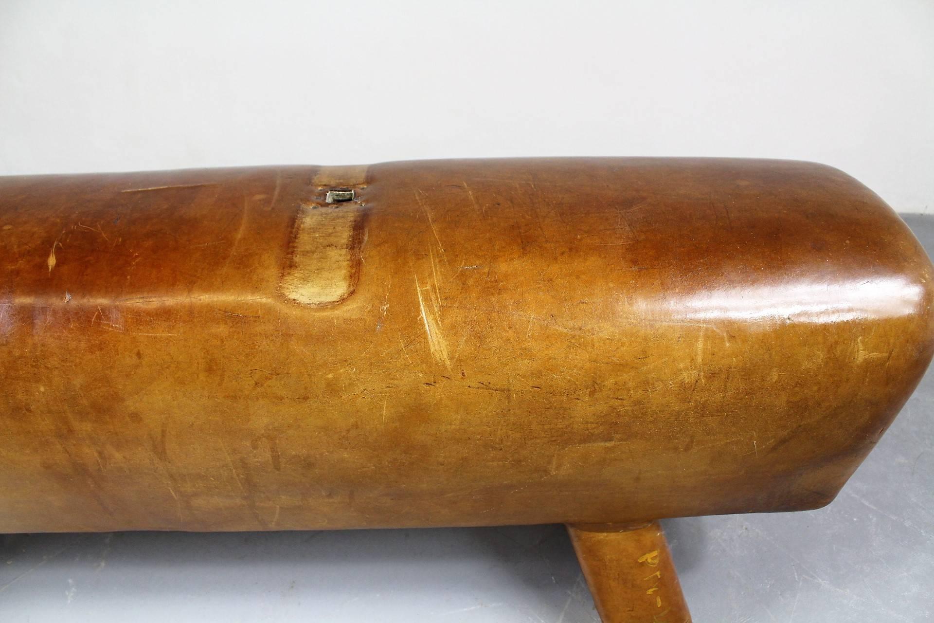 20th Century 1950s Leather Gym Pommel Horse/Bench