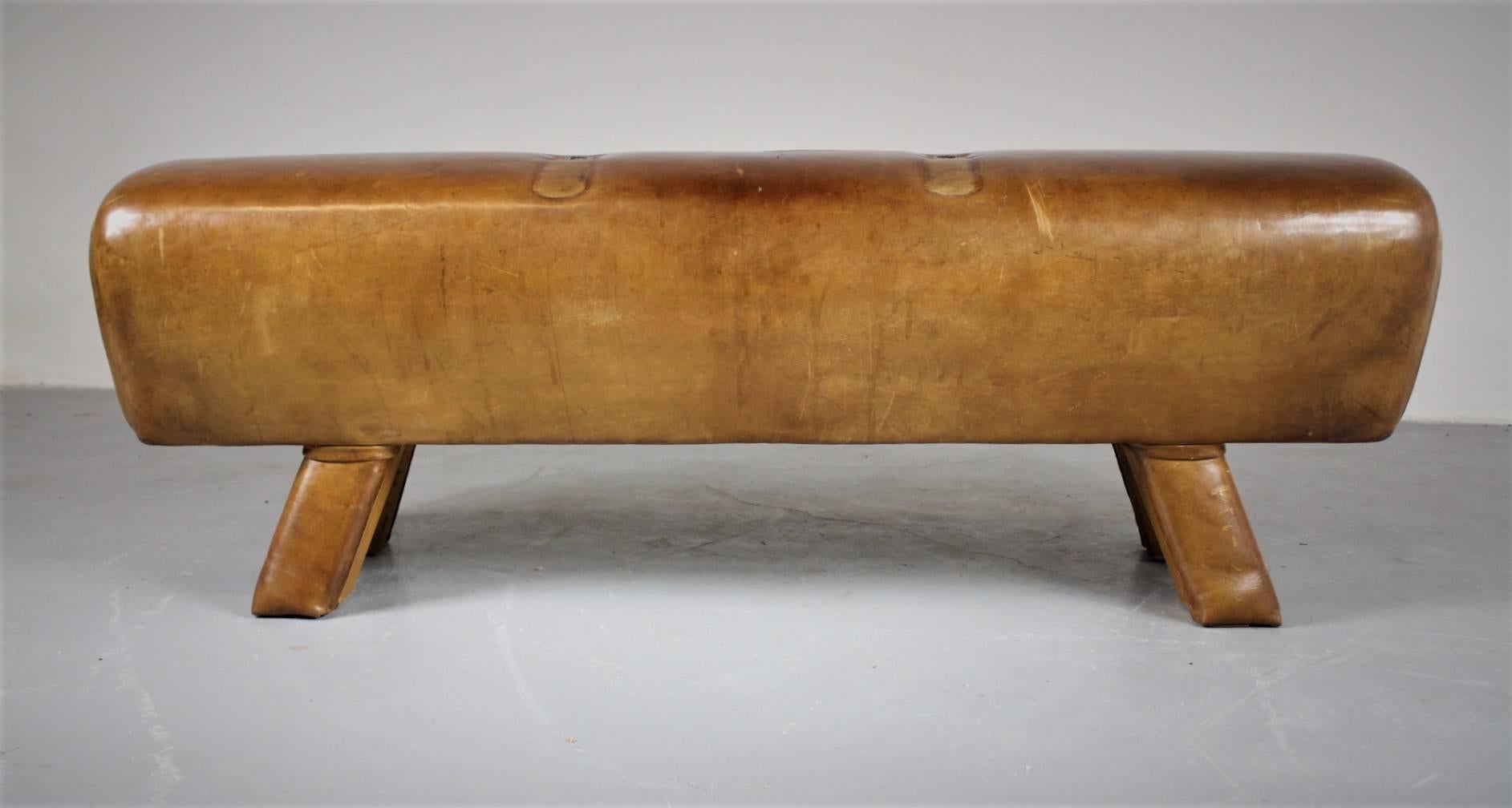 European 1950s Leather Gym Pommel Horse/Bench