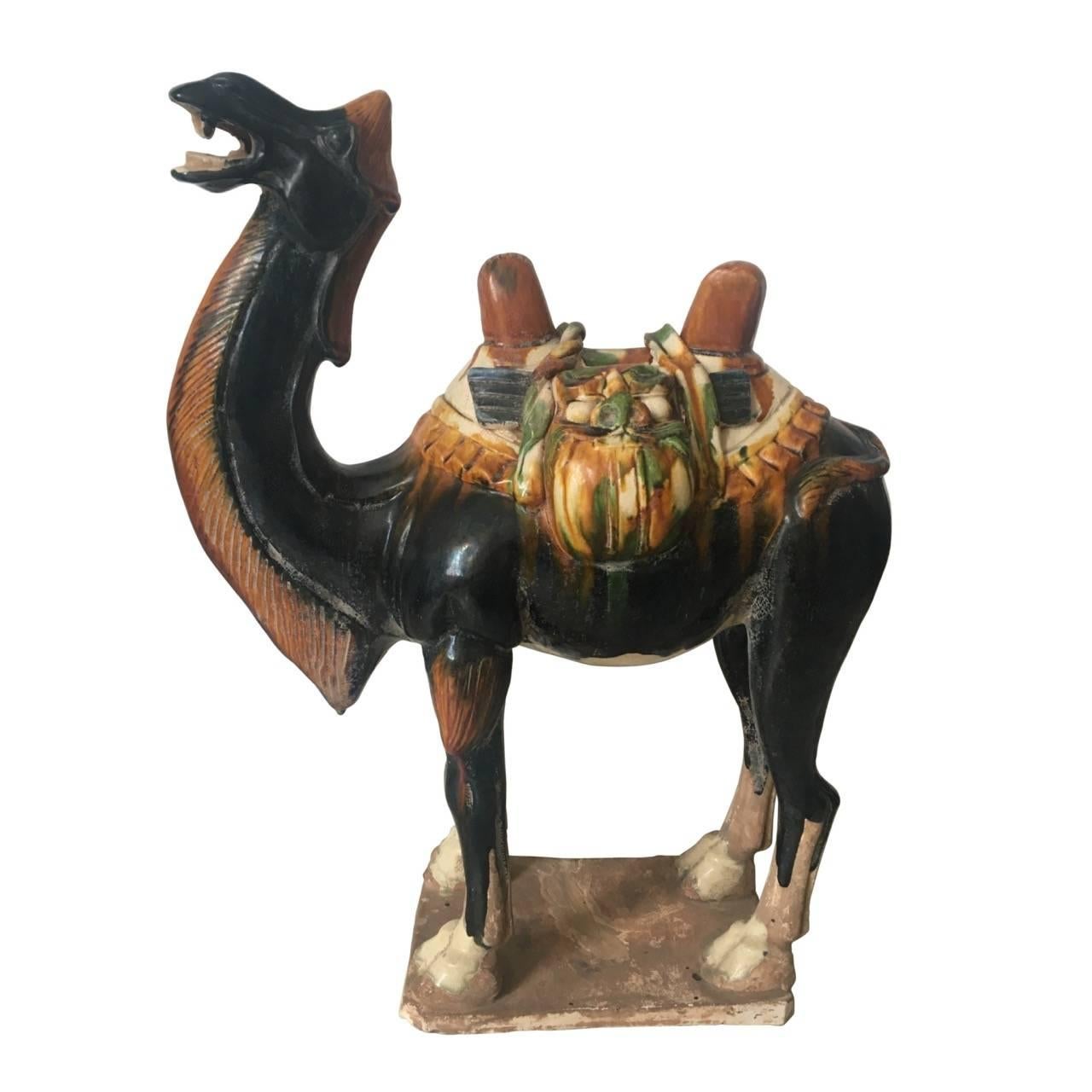 Antike chinesische Kamel mit Sancai-Glasur.  im Angebot