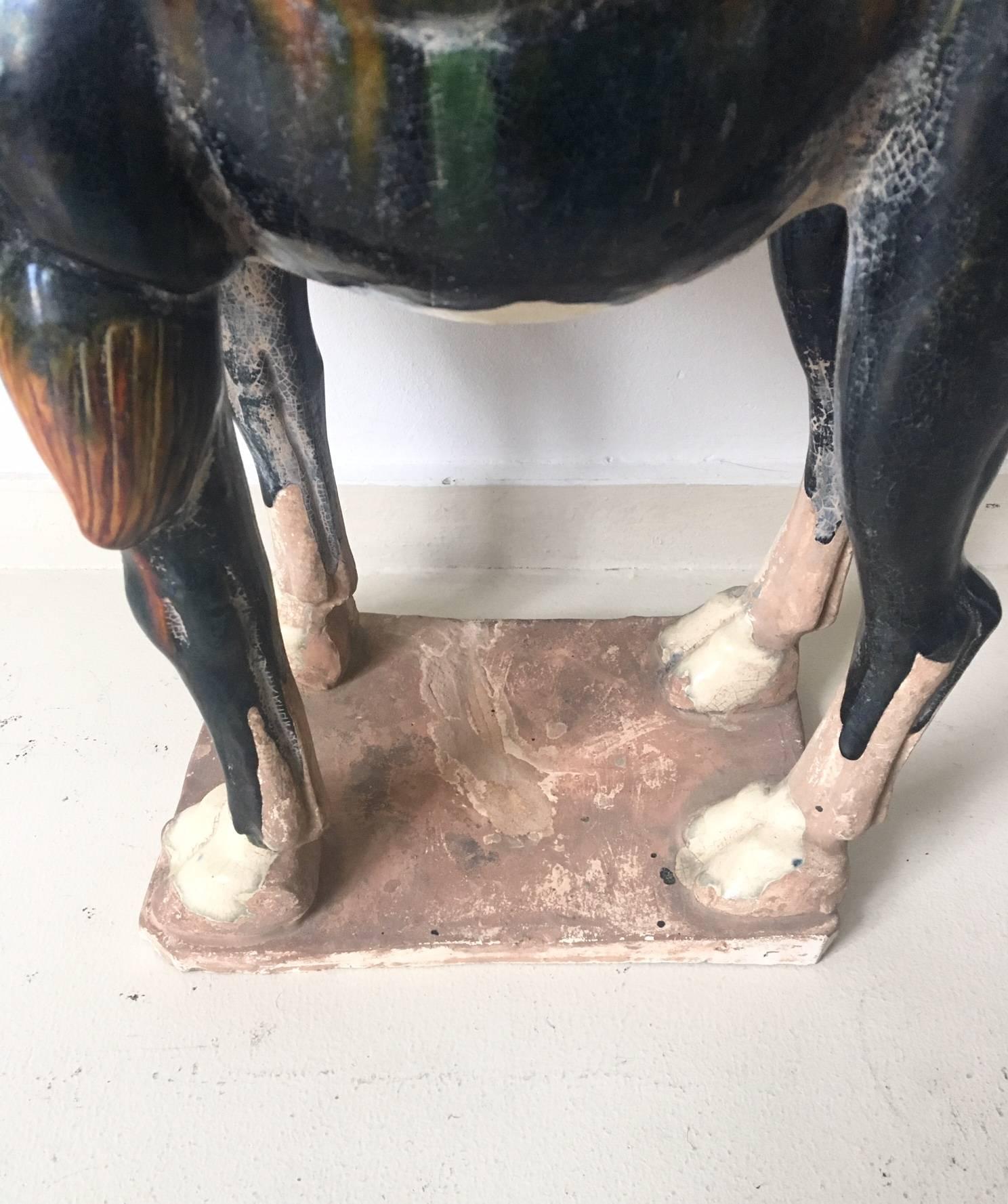 Ancient Chinese Camel with a Sancai Glaze.  For Sale 1