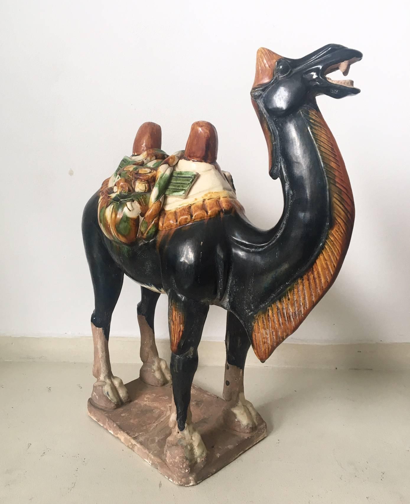 Glazed Ancient Chinese Camel with a Sancai Glaze. For Sale