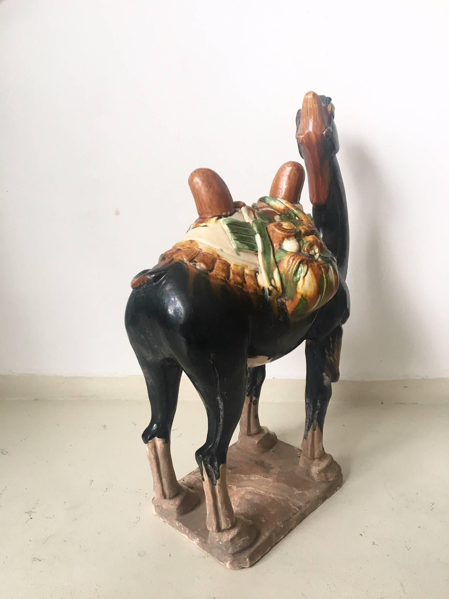 Ancient Chinese Camel with a Sancai Glaze.  In Good Condition For Sale In Schagen, NL