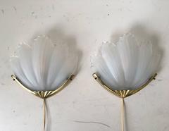 Stunning Frosted Glass Shell Sconces in Gold Coloured Metal Holder, 1960s-1970s