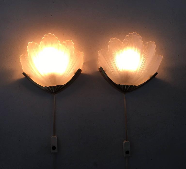 Stunning Frosted Glass Shell Sconces in Gold Coloured Metal Holder ...