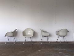 Herman Miller USA Eames DAX Fiberglass Armchairs with Four-Leg Base, 1983