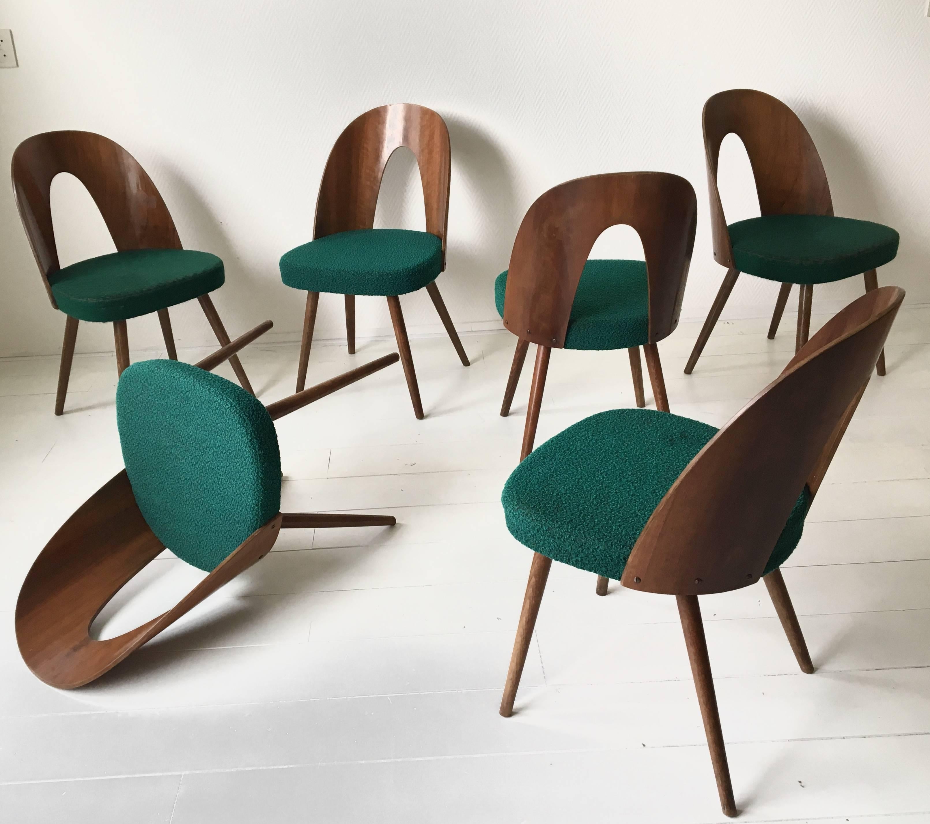 These chairs have been designed by Antonin Suman and were manufactured by Zilina. Produced in the 1960s. 

This lovely set features walnut veneered bentwood backrests and tapered legs. Their green original fabric is still in good condition and two