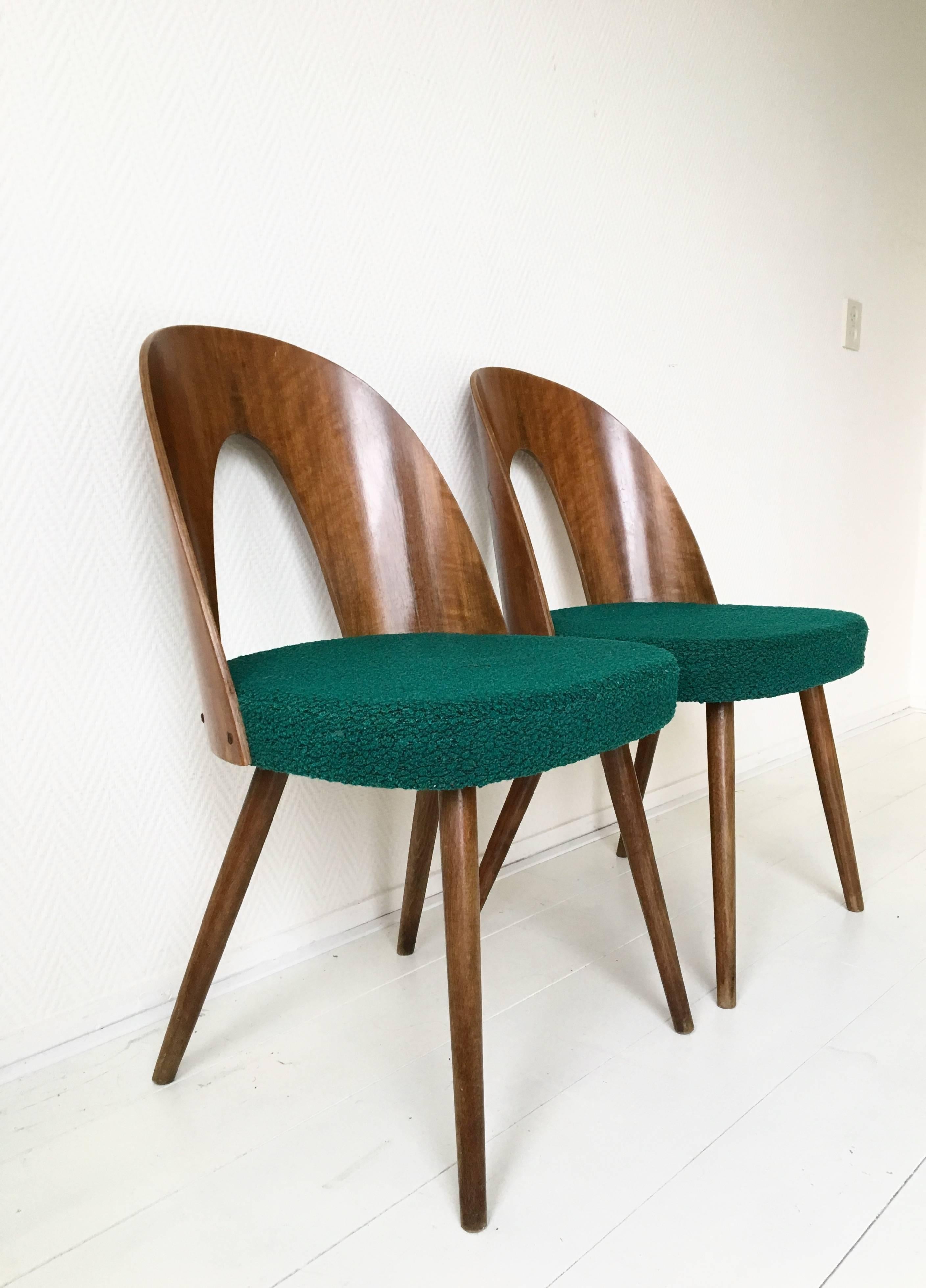 Set of Six Most Green Dining Room Chairs by Antonin Suman for Zilina. SALE! In Excellent Condition In Schagen, NL