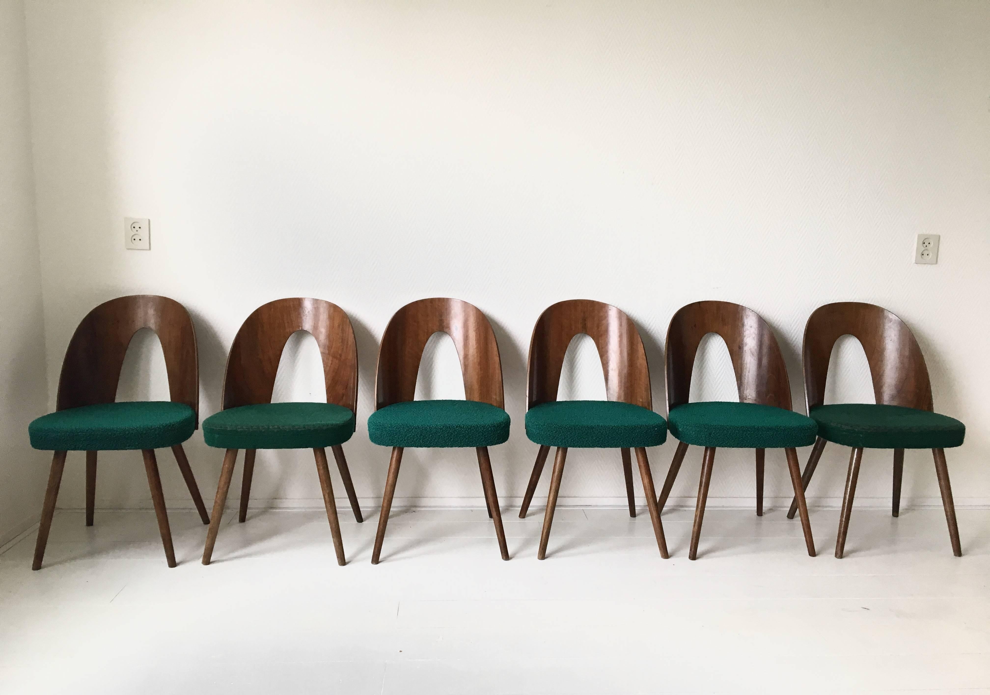 Mid-Century Modern Set of Six Most Green Dining Room Chairs by Antonin Suman for Zilina. SALE!