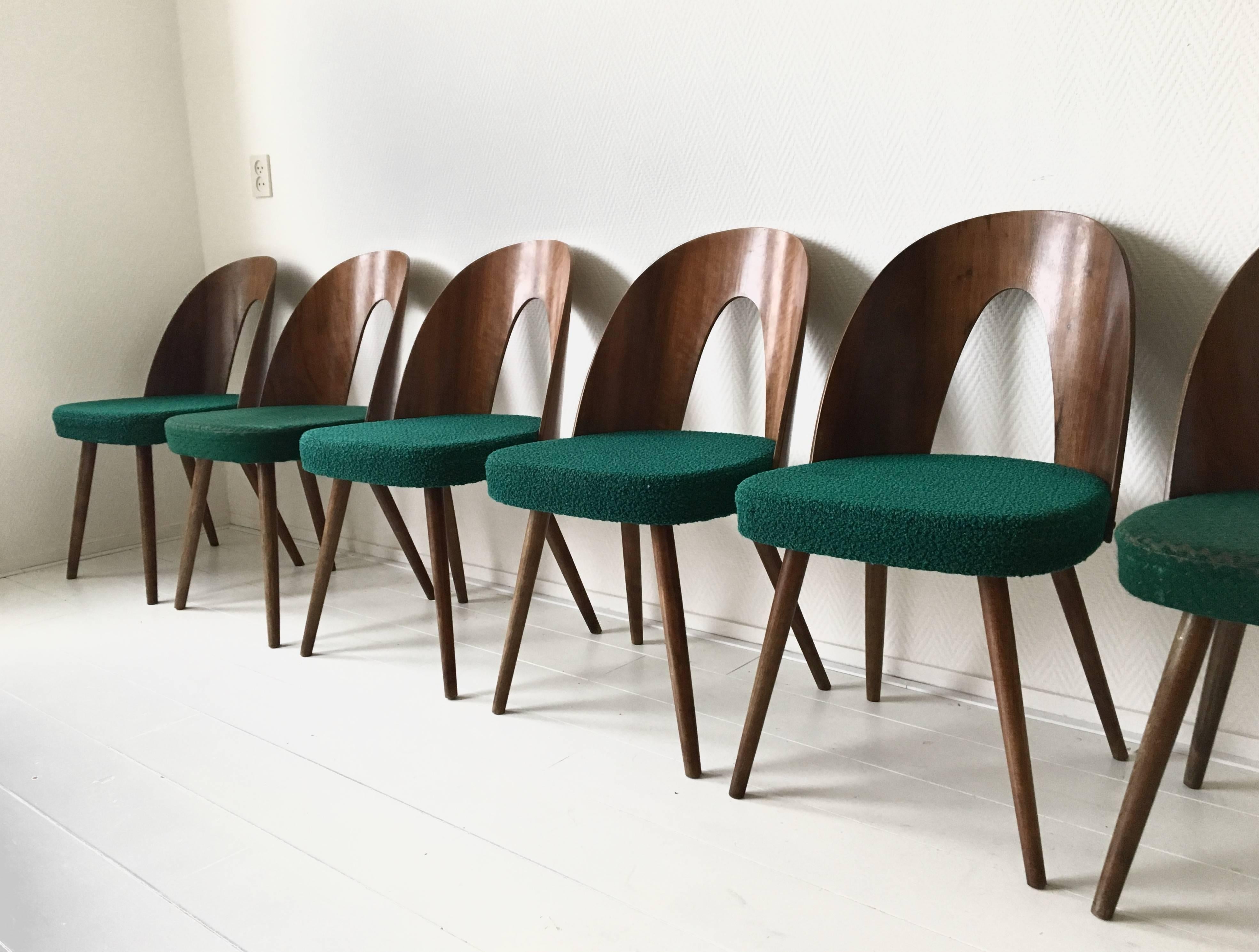 Czech Set of Six Most Green Dining Room Chairs by Antonin Suman for Zilina. SALE!