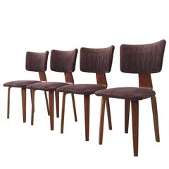 Mid-Century Dining Chairs by Cor Alons for den Boer Gouda, 1949 2