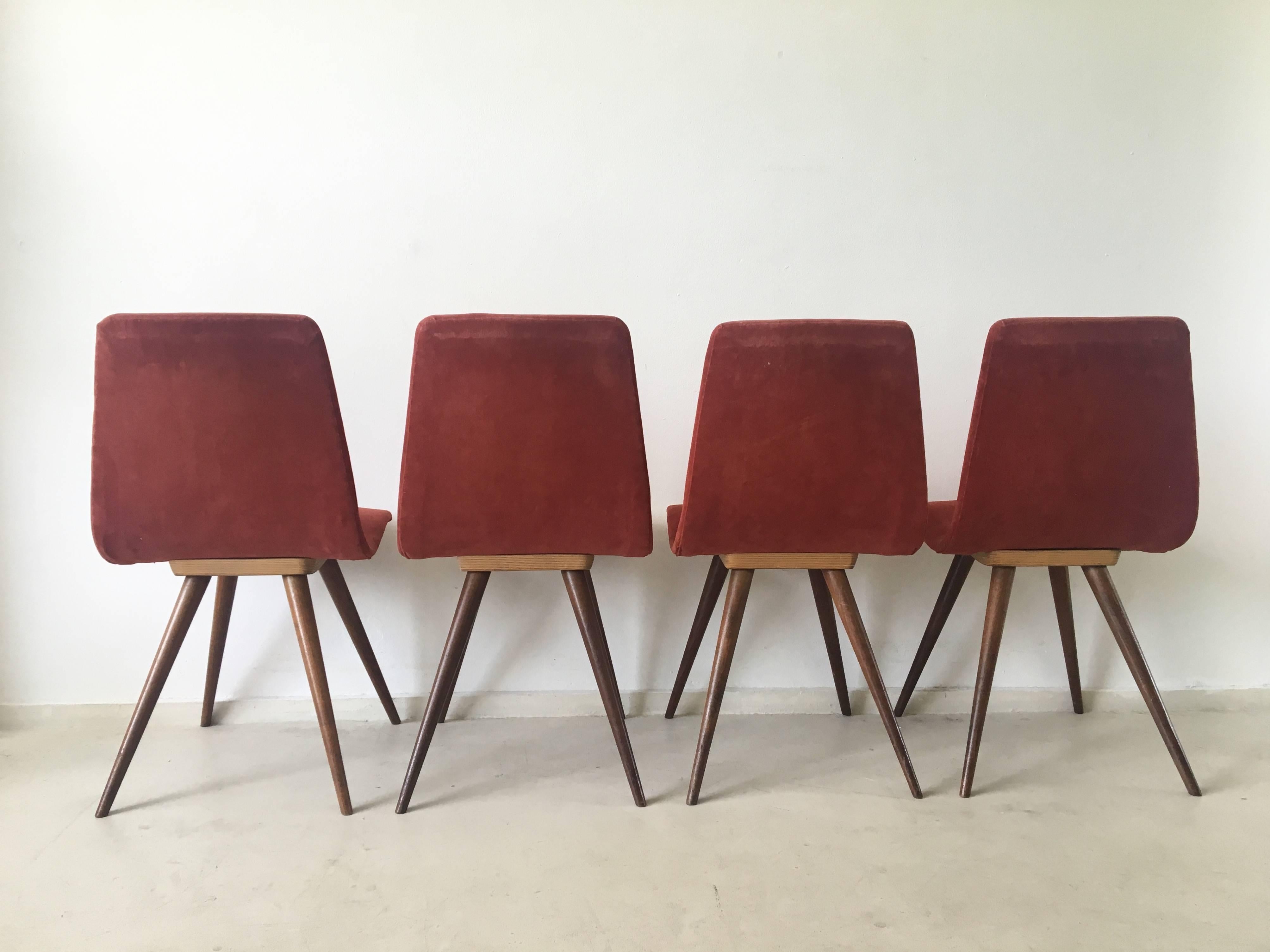 Rare Mid-Century Dining Chairs, Attributed to Gj Van Os, 1950s In Good Condition In Schagen, NL