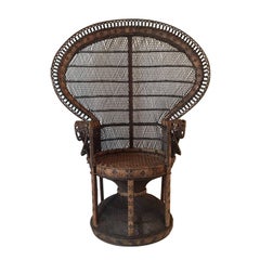 Iconic Brown 'Emmanuelle or Peacock' Chair, 1970s